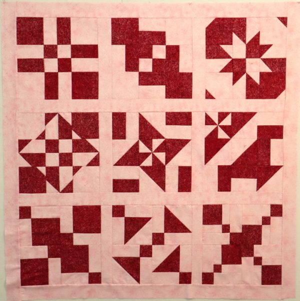 Disappearing Block Sampler Quilt in Red